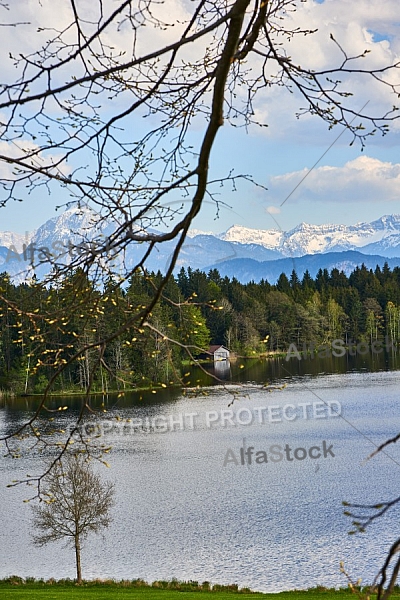 Schwaltenweiher, Schlosshof, Rückholz, Allgäu, Bavaria, Germany