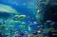 Sea Life, Munich, Bavaria, Germany