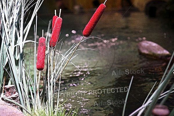 Sea Life, Munich, Bavaria, Germany