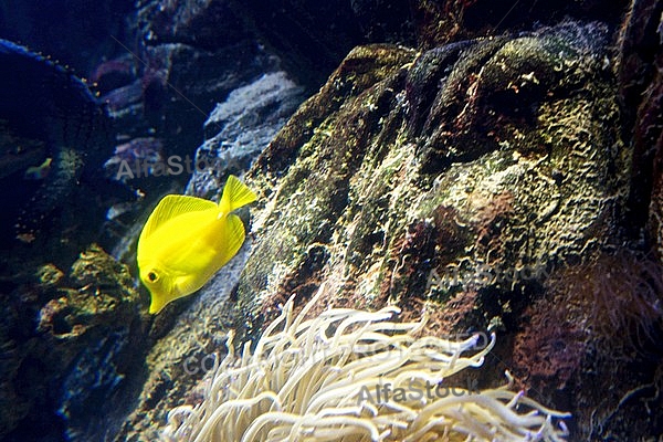 Sea Life, Munich, Bavaria, Germany