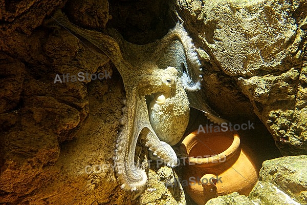 Sea Life, Munich, Bavaria, Germany