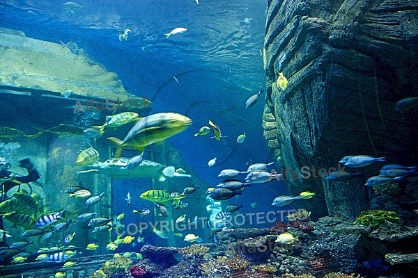 Sea Life, Munich, Bavaria, Germany