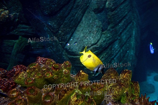 Sea Life, Munich, Bavaria, Germany