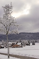 Seeg and surroundings, Winter, Bavaria, Germany