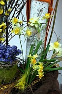 Spring, flowers, plants, background