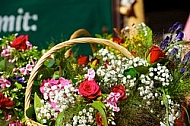 Spring, flowers, plants, background