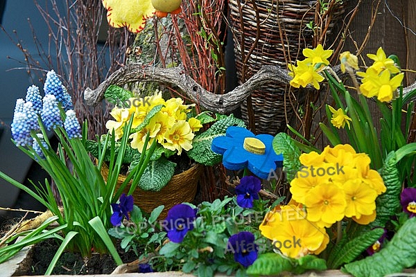 Spring, flowers, plants, background