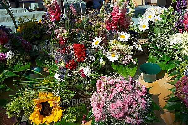 Spring, flowers, plants, background