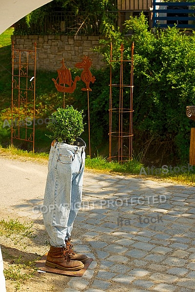 Spring, flowers, plants, background