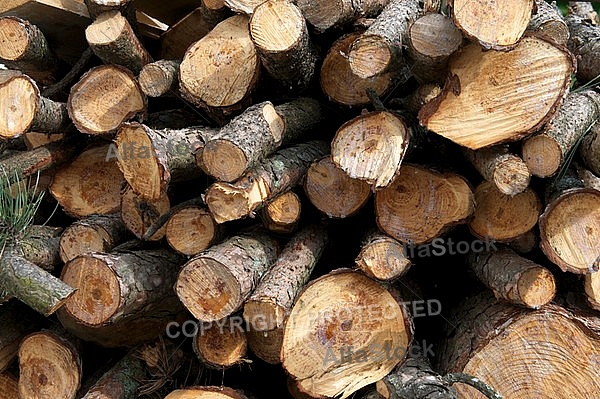 Stocked wood