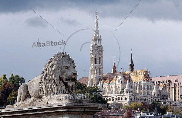 Stone lion