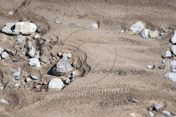 Stones, background