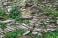 Stones, water