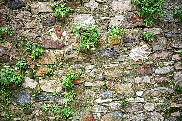 Stones, water