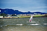 Surfer in the strom, Hopfensee, Bavaria, Germany