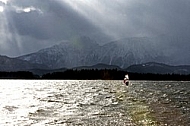 Surfer in the strom, Hopfensee, Bavaria, Germany