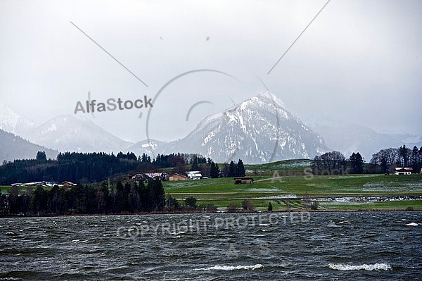 Surfer in the strom, Hopfensee, Bavaria, Germany