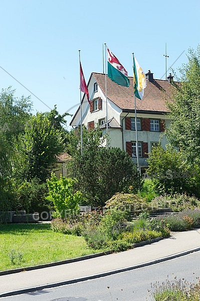 Swiss Alps House