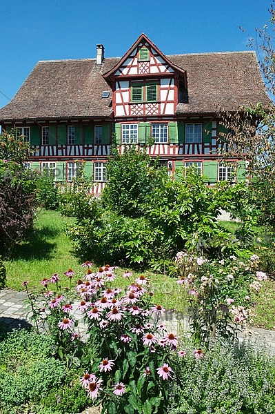 Swiss Alps House