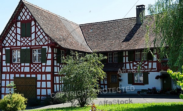 Swiss Alps House