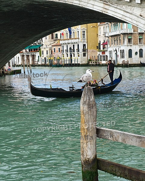 Venice, Venezia, Italy