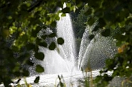 Water shedding and falling leaves.