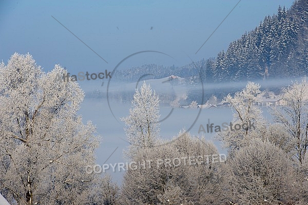 Winter, Background