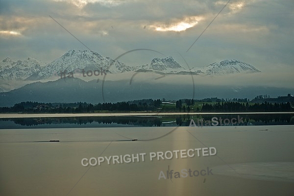 Winter in the Lake Hopfensee, Germany