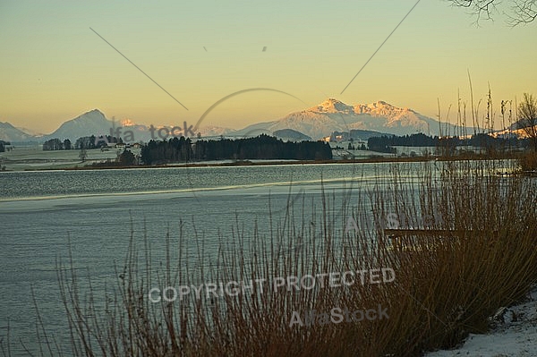 Winter in the Lake Hopfensee, Germany
