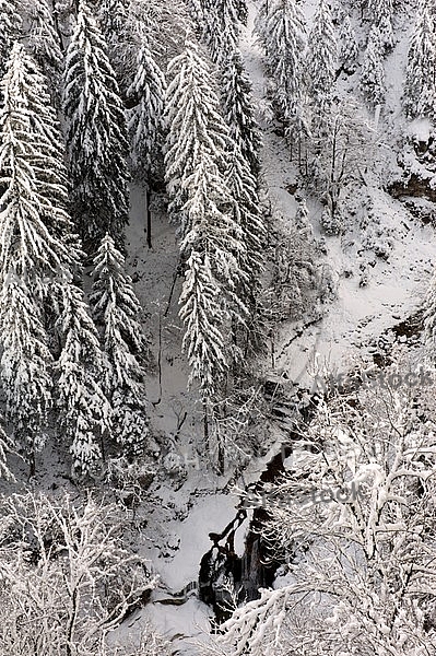 Winter, Neuschwanstein Castle in Schwangau, Germany