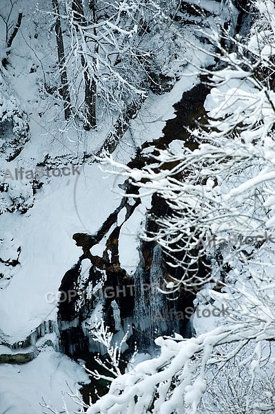 Winter, Neuschwanstein Castle in Schwangau, Germany