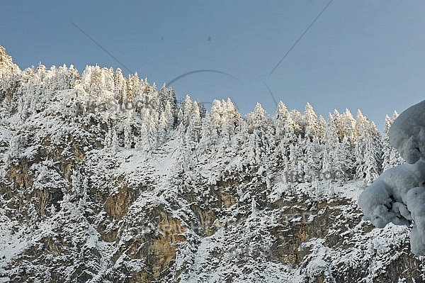 Winter, Neuschwanstein Castle in Schwangau, Germany