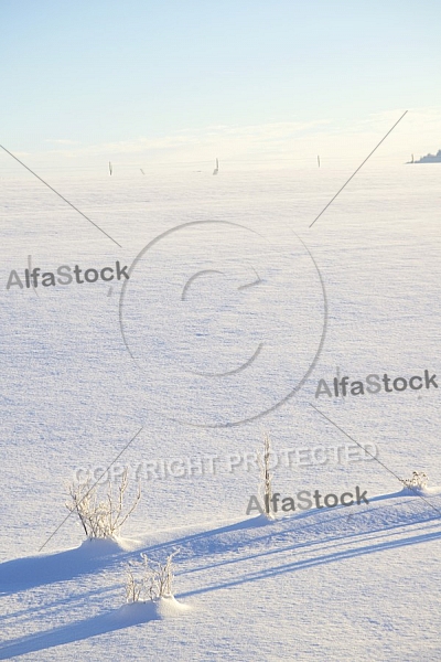 Winter, Ostallgäu in Bavaria, Germany