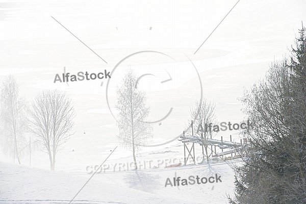 Winter, snow, wood, Background