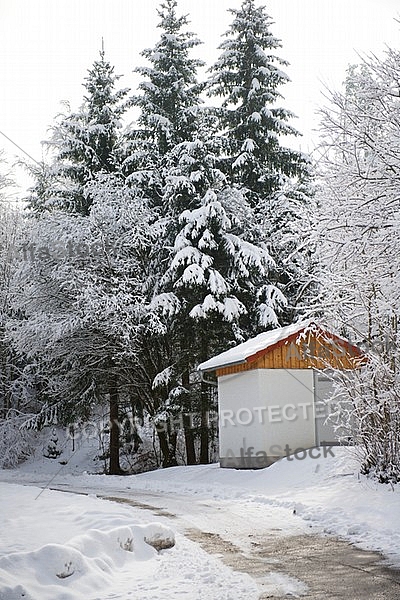 Winter, snow, wood, Background