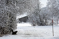 Winter, snow, wood