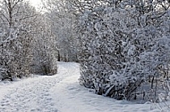 Winter, snow, wood