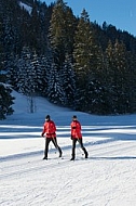 Winter, Tannheim Valley, Austria