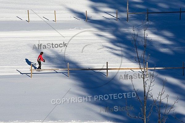 Winter, Tannheim Valley, Austria