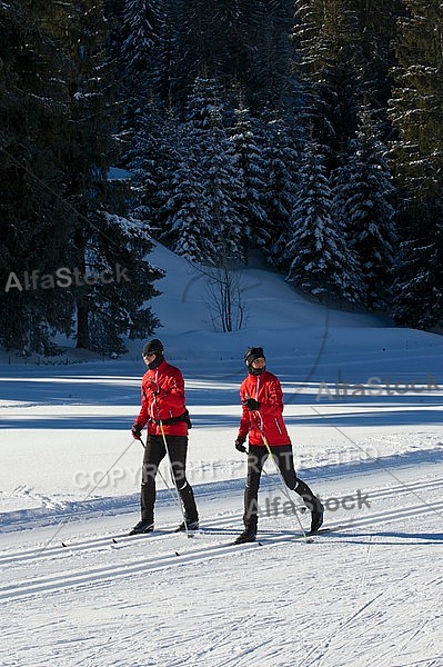 Winter, Tannheim Valley, Austria