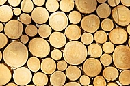 Wood textured backgrounds