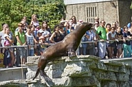 Zoo, Wild, Wilhelma, Stuttgart