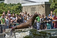 Zoo, Wild, Wilhelma, Stuttgart