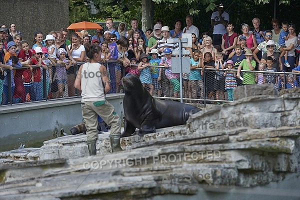 Zoo, Wild, Wilhelma, Stuttgart