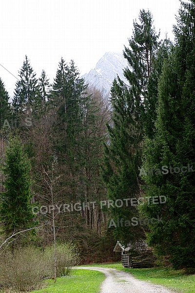 Zugspitze, Grainau, Alpen, Bayern, Germany