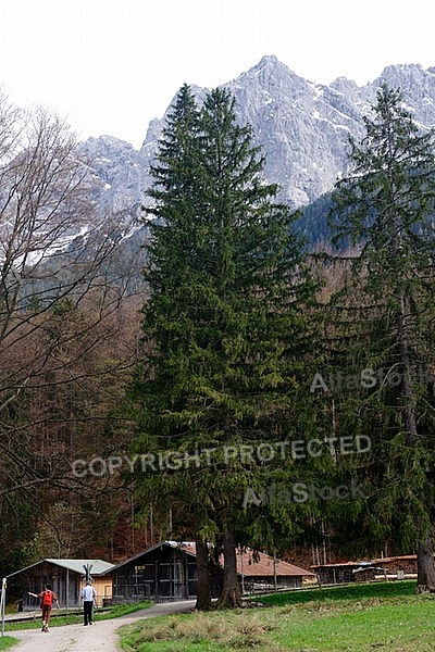 Zugspitze, Grainau, Alpen, Bayern, Germany