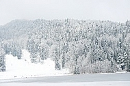Alatsee, Winter, Bavaria, Germany