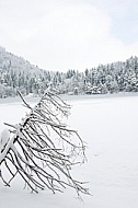 Alatsee, Winter, Bavaria, Germany