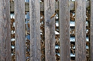 Background. Wooden fence.