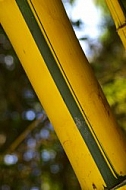 Bamboo A 